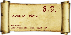 Bernula Dávid névjegykártya